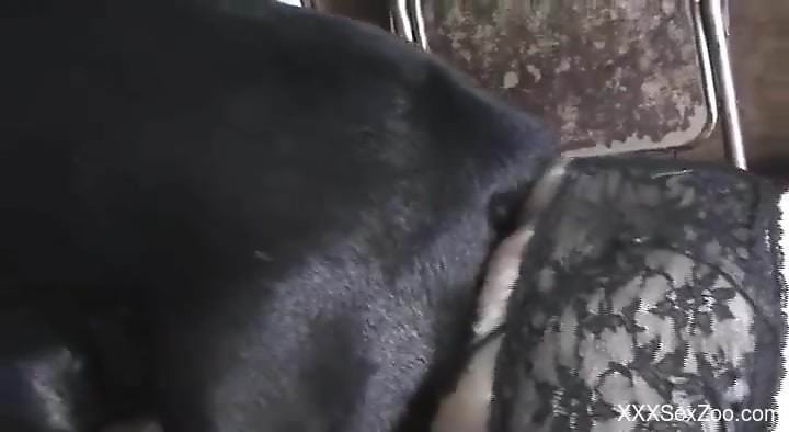 Mature throats the dog's dick before shoving it up her cunt
