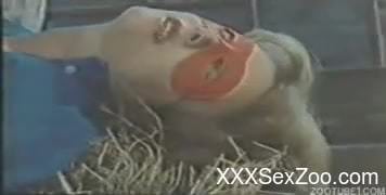 Dalmatian gets a blowjob from a mask-wearing slut