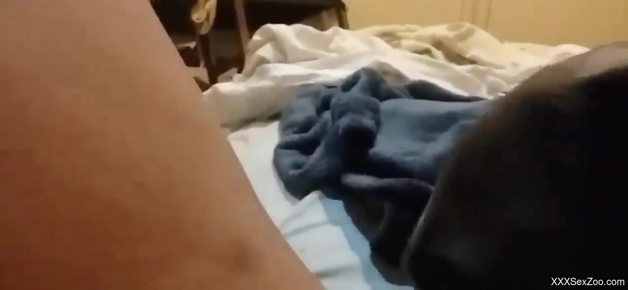 Bestiality video that starts with some teasing