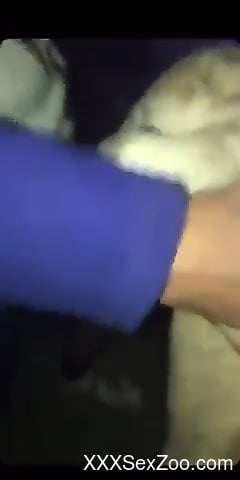 Hectic beastiality scene to really make you cum