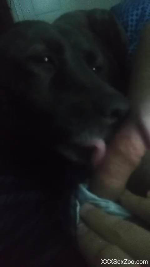 Dude's hard cock getting pleasured in POV by a beast