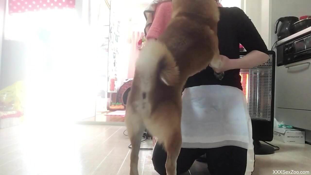 Sexy female sits on the floor and enjoys intimacy with her dog