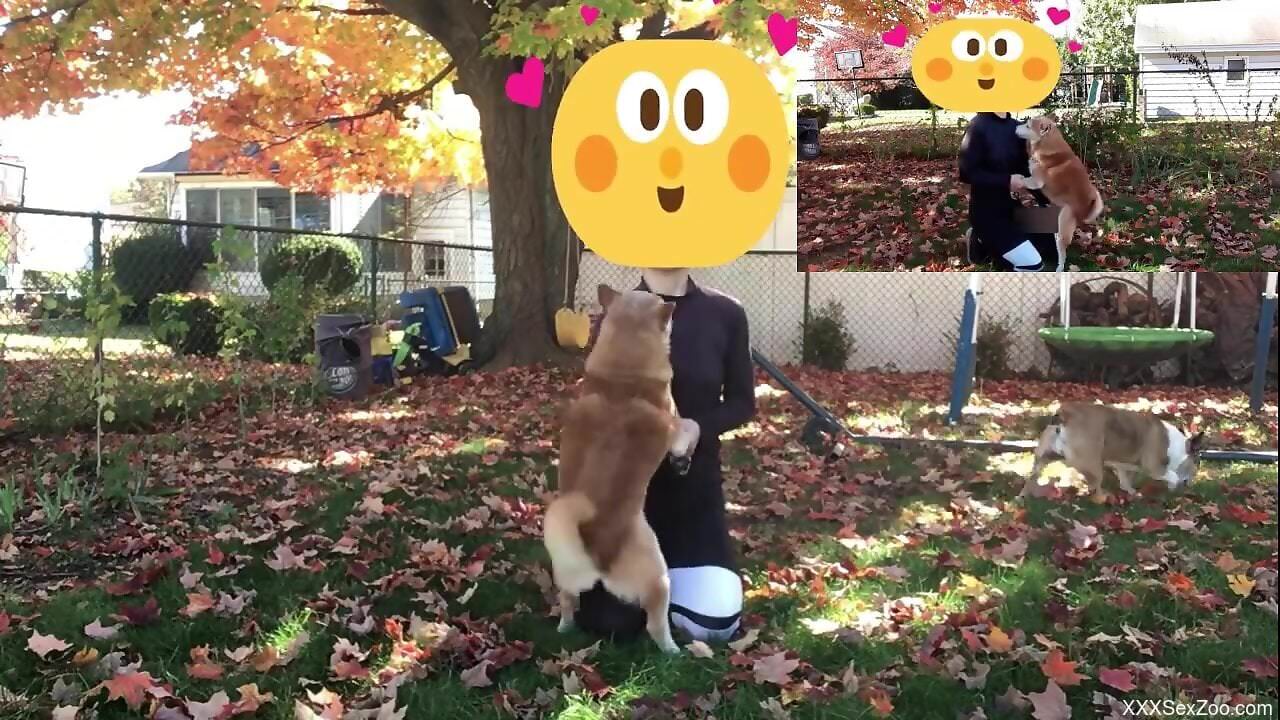 Clothed man with dirty desires gets intimate with the furry dog