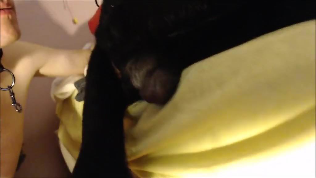 SExy gay male plays with the dog's dick in spicy cam action