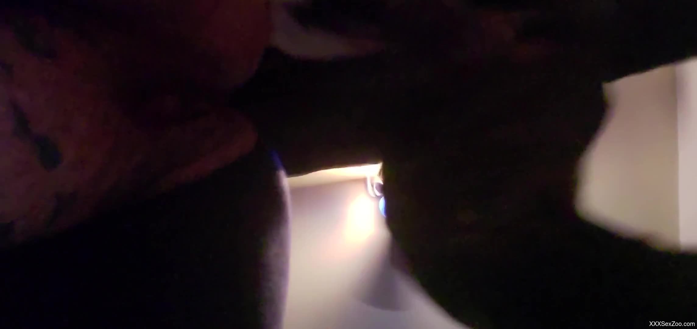 Doggy style fuck scene with a very kinky animal