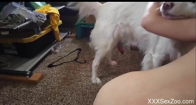 Home alone girl soaked in sperm by her dog after a rough fuck