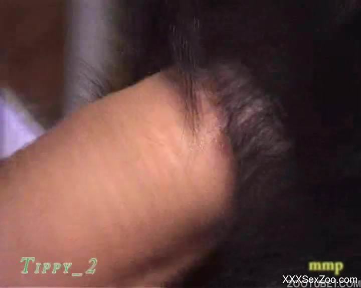 Horny man fucks his dog in closeup xnxx videos