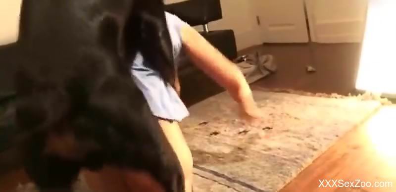 Brunette in a thong wants dog dick deep inside of her