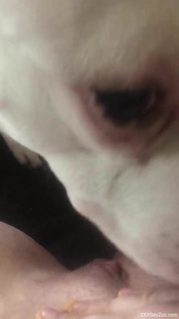 Slutty beast going crazy in a POV movie here