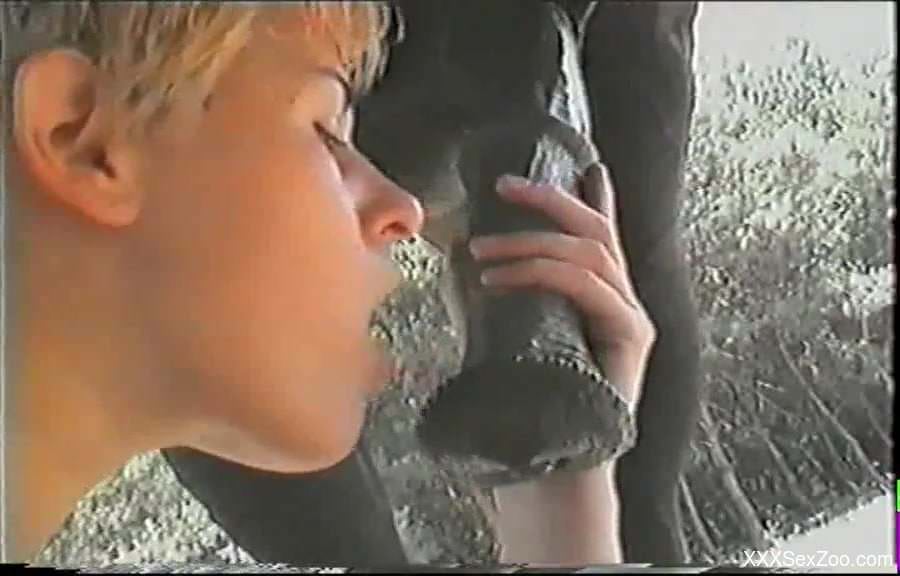 Naked girl with blonde hair approaches horse to suck big dick