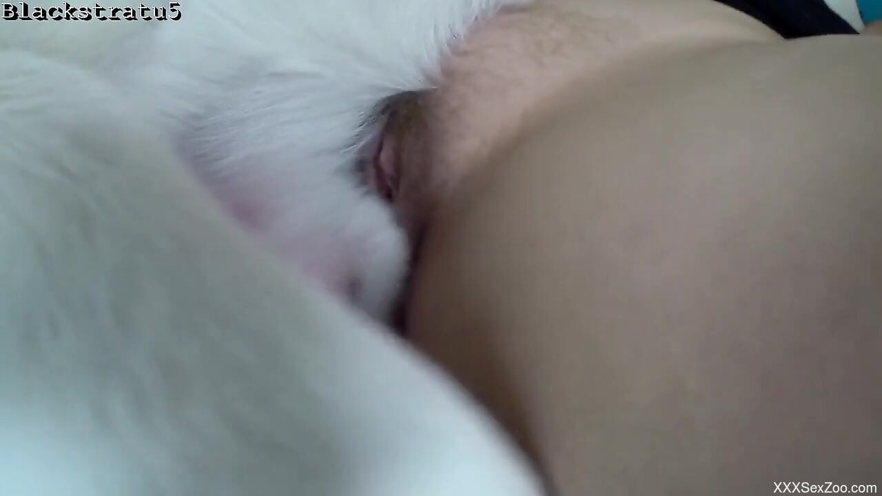 Sexy female tries dog dick in her muff for the first time on cam