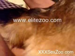 One of the most passionate male-on-dog videos out there