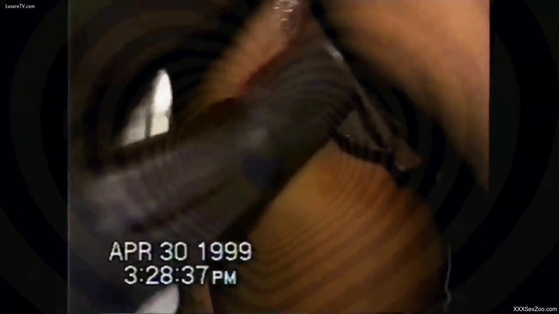 Horse cock worship is the best thing ever (hypno)