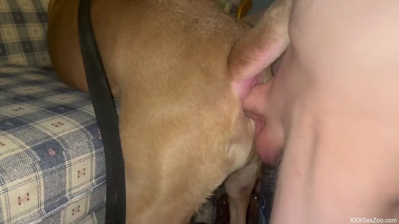 Amateur male enjoys unique experience by fucking his dog