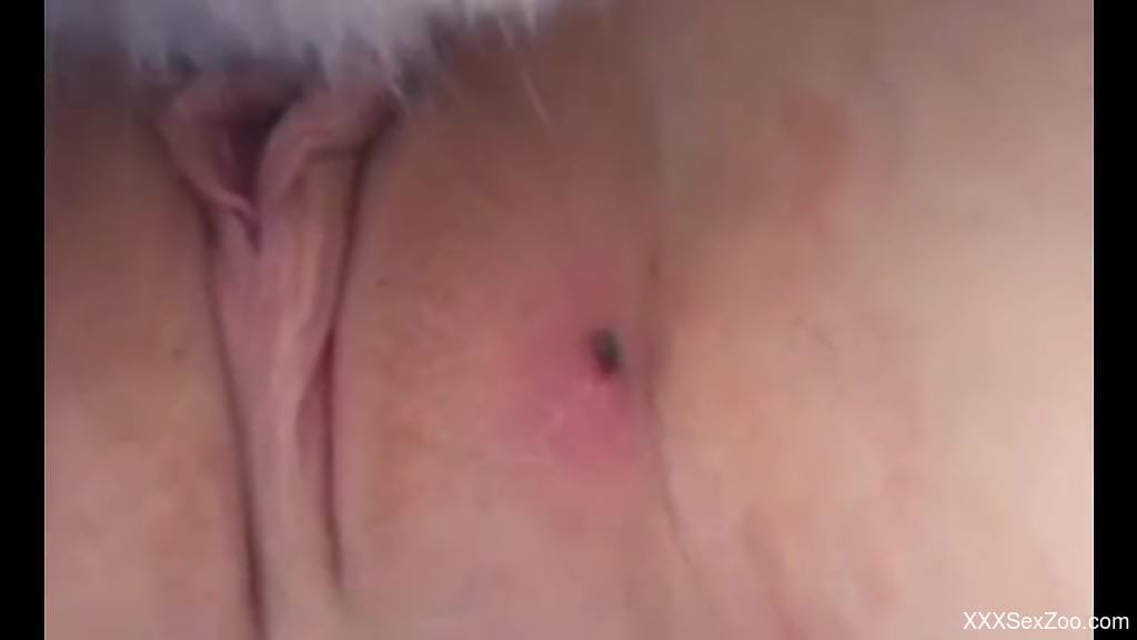 Babe with a perfect pussy getting banged by a dog