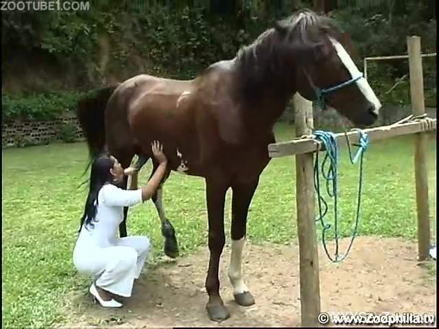 Tanned amateur slut horse fucking in outdoor zoo scenes