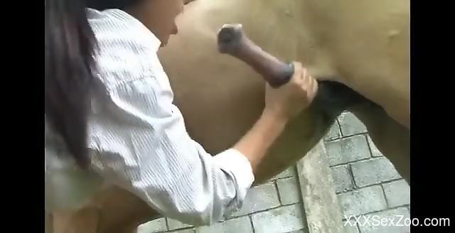 Mature grans the giant horse dick and makes out