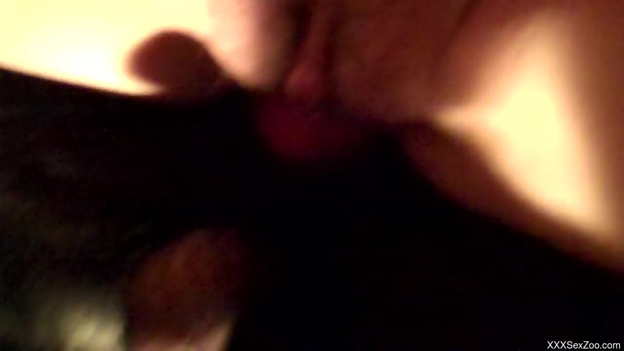 Sensual woman gets doggy fucked by the dog and soaked in sperm