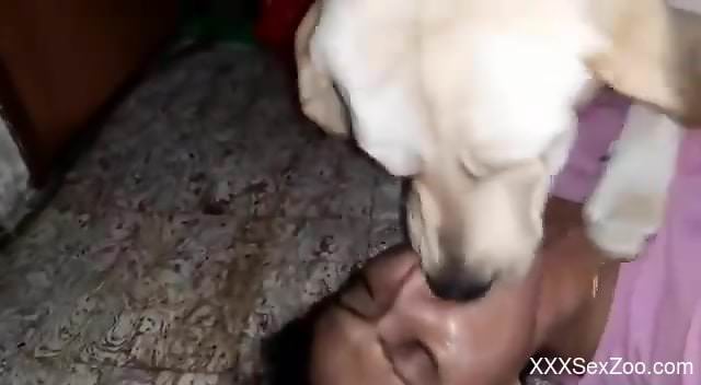 Hot bitch making out with a dog prior to hard sex