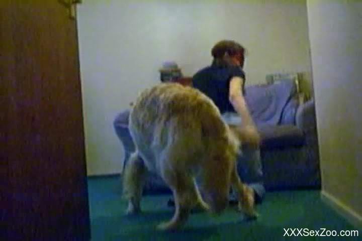 Horny housewife bends ass for the horny dog