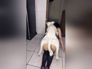 College slut fucks dog hardcore