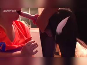 Amadora Dog Sex Frenzy