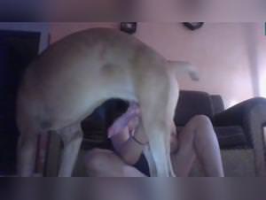 Doggy Desire Unleashed