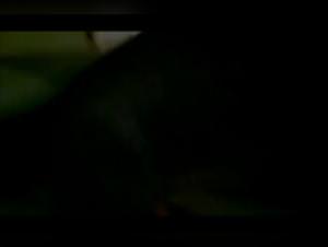 Dog Bangs Dog - Extreme Sex Videos