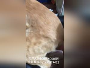 Chinese sex exploitation hardcore