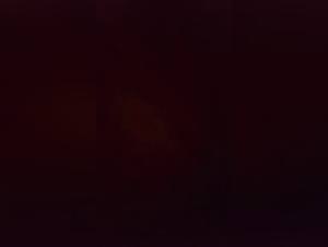 Doggy Desire: Slut Gets Fucked By Her Canine