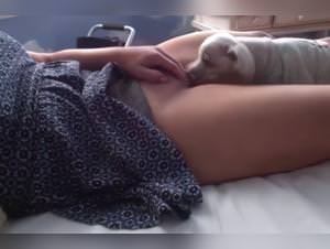 Dog Licking Teen (Upscaled Vivid)