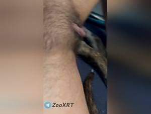 Dog sex wife home taboo footage