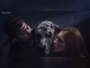 Girl Dog Fuck - Extreme Animal Sex Videos