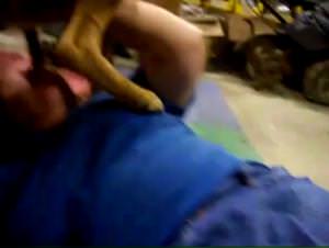 Layla's Taboo Fisting: Animal Lust