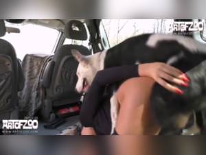 Feminist fantasies: slut rides dog hardcore