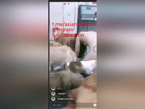 Asian wife gangbang by dogs