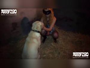 Dog Sex - Bestiality XXX