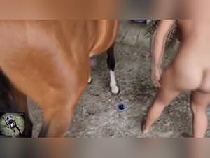 Beastsextaboo: Mia - Horse Balls, Extreme XXX