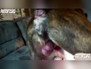 Nadias primal craving