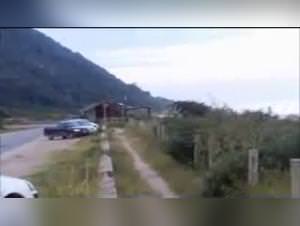 Personal archive : bitches fuck wild animals hardcore