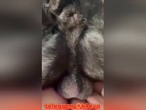 Wild knots: doggystyle depravity