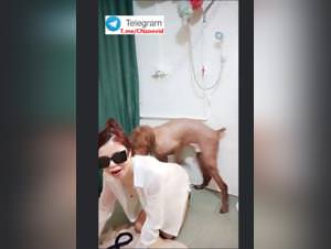 Chinese Bitch Dog Sex Part 3