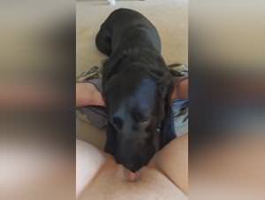 Beastiality: Teen Girl Gives Dog a Doggy Style Blow Job in Wild Animal Sex