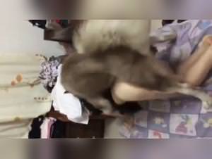 Lisa & Dog Part 2: Wild Dog Fucks