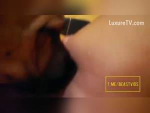 Tasteful licks on dog sex