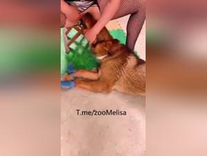 Chinese Girl Fucks Dog Part 3