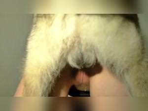 Chien Bestial: Femme Sucks Dog - Hardcore XXX