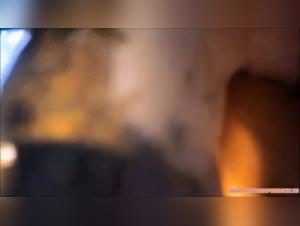 Greta's Doggy Obsession: Intense Sex