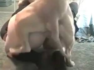 Shemale Licks Dog - Extreme Sex Videos