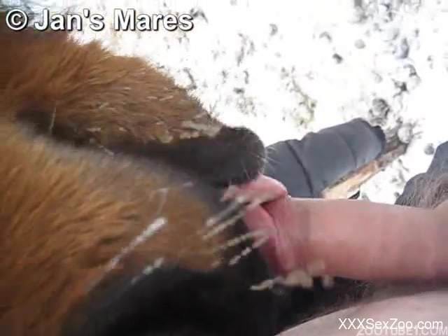 Zoophile guy takes pants off and gives animal cock for sucking